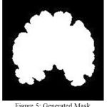 Figure 5: Generated Mask
