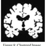 Figure 8: Clustered Image