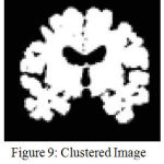 Figure 9: Clustered Image without edge enhancemnt
