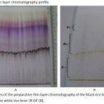 Figure 1: Profiles of the preparative thin layer chromatography of the black rice bran ‘Woja Laka’ (A) and the white rice bran ‘IR 64’ (B).