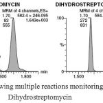 Figure 1: Chromatogram showing multiple reactions monitoring for streptomycin and Dihydrostreptomycin