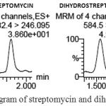Figure 3: Total ion chromatogram of streptomycin and dihydrostreptomycin in honey sample