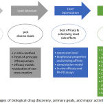 Figure 1: Stages of biological drug discovery, primary goals, and major activities