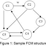 Figure 1: Sample FCM structure