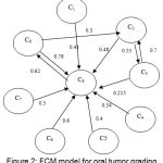 Figure 2: FCM model for oral tumor grading