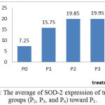 Figure 1: The average of SOD-2 expression of treatment groups (P2, P3, and P4) toward P1.