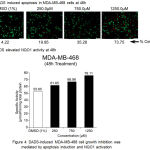 Figure 4: DADS-induced MDA-MB-468 cell growth inhibition was mediated by NQO1 activation and apoptosis induction.