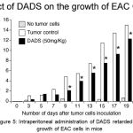 Figure 5: Intraperitoneal administration of DADS retarded the growth of EAC cells in mice.