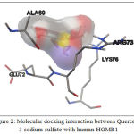 Figure 2: Molecular docking interaction between Quercetin, 3 sodium sulfate with human HGMB1