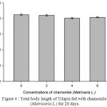 Figure 4: Total body length of Tilapia fed with chamomile (Matricaria L.) for 28 days.