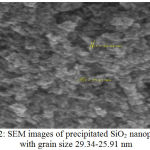 Figure 2: SEM images of precipitated SiO2 nanoparticles with grain size 29.34-25.91 nm