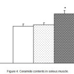 Figure 4: Ceramide contents in soleus muscle.
