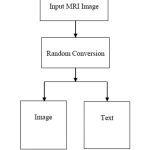 Figure 2: Random Conversion for steganography process