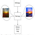 Figure 3: Basic diagram of image for Steganography process