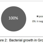 Figura 2: crescimento de Bactérias no Grupo2