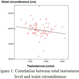 Correlation Of Total Testosterone And Sex Hormone Binding Globuline