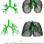 Figure 5: (Color online) 3D reconstruction results of the airway trees and superimposed on the lungs parenchyma.