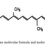 Figure 1: Structure of lycopene molecular formula and molecular weight 536.9