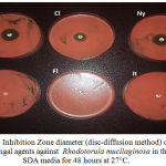 Figure 3: Inhibition Zone diameter (disc-diffusion method) of specific antifungal agents against Rhodotorula mucilaginosa in the SDA media for 48 hours at 27°C.