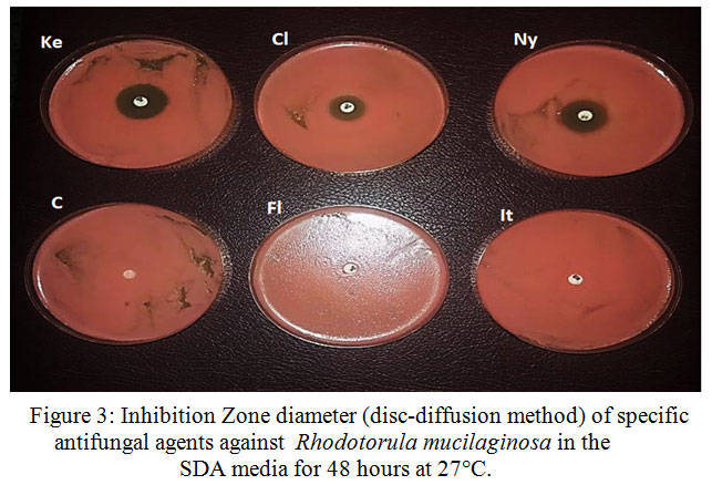 A Comparative Study Between Specific and Non-Specific Antifungal Agents to  Treat the Rhodotorula Mucilaginosa Athletes Foot | Biomedical and  Pharmacology Journal