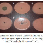 Figure 4: Inhibition Zone diameter (Agar well diffusion method) of specific antifungal agents against Rhodotorula mucilaginosa in the SDA media for 48 hours at 27°C.