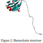 Figure 2: Haemolysin structure viewed in Biovia 4.1