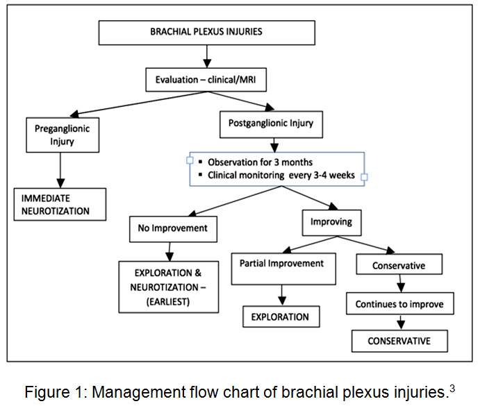 Injury Management Flow Chart