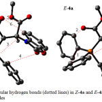 Figure 15: Intramolecular hydrogen bonds (dotted lines) in Z-4a and E-4a geometrical isomers of stable ylides.
