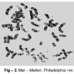 Figure 2: Mar–Marker, Philadelphia +ve