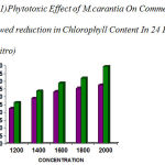 Figure 1: Phytotoxic Effect of M.carantia On Commelina Showed reduction in Chlorophyll Content In 24 Hrs (Invitro)