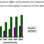 Figure 2: Phytotoxic Effect of M.carantia On Commelina Showed Reduction in Chlorophyll Content In 48 Hrs (Invitro)