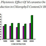 Figure 3: Phytotoxic Effect Of M.carantia On Aerva sp Showed reduction in Chlorophyll Content24 Hrs (Invitro)