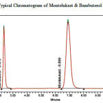 Figure 1: Typical Chromatogram of Montelukast & Bambuterol by RP-HPLC.