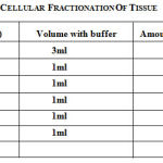 Table 1: Cellular fractionation of tissue.