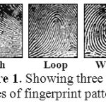 Figure 1: Showing the types of fingerprint patterns.