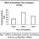 Figure 1: Effect of Enzyme Activity on Protease Activity on Bacillus subtilis.