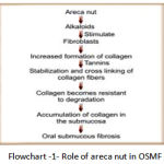 Flowchart 1: Role of areca nut in OSMF.