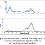 Figure 3: Normalized Size-Exclusion Chromatography SEC) of native starch solutions from rice cultivars. AP, amylopectin; AM, amylose.