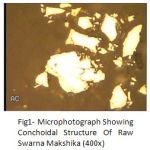 Figure 1: Microphotograph Showing Conchoidal Structure Of Raw Swarna Makshika (400x).