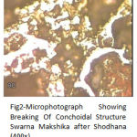 Figure 2: Microphotograph Showing Breaking Of Conchoidal Structure Swarna Makshika after Shodhana (400x).