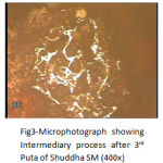 Figure 3: Microphotograph showing Intermediary process after 3rd Puta of Shuddha SM (400x).