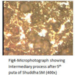 Figure 4: Microphotograph showing Intermediary process after 5th puta of Shuddha SM (400x).