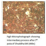 Figure 5 Microphotograph showing Intermediary process after 7th puta of Shuddha SM (400x).