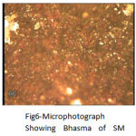 Figure 6: Microphotograph Showing Bhasma of SM.