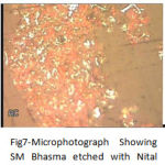 Figure 7: Microphotograph Showing SM Bhasma etched with Nital.