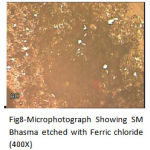 Figure 8: Microphotograph Showing SM Bhasma etched with Ferric chloride (400X).