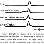 Figure 1: Free boundary electrophoretic patterns of several avian conalbumins. The ascending patterns of chicken conalbum (1%,) and mixtures of chicken conalbumin (1%) with the conalbumins of the other species (0.5%,) are given. The buffer was 0.1 M sodium acetate at pH 4.7 and the determinations were for 150 min at 7 milliamperes.