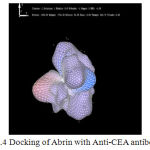 Figure 4: Docking of Abrin with Anti-CEA antibody.