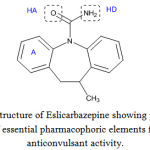 Figure 1: Structure of Eslicarbazepine showing presence of essential pharmacophoric elements for anticonvulsant activity.