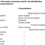 Table 1: Phenotypic characters used for the identification of V.parahaemolyticus.